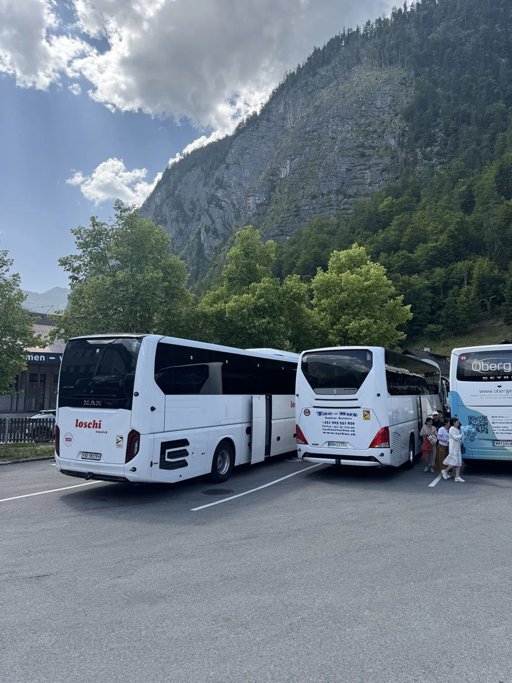 Autocars blancs dans un paysage de montagne